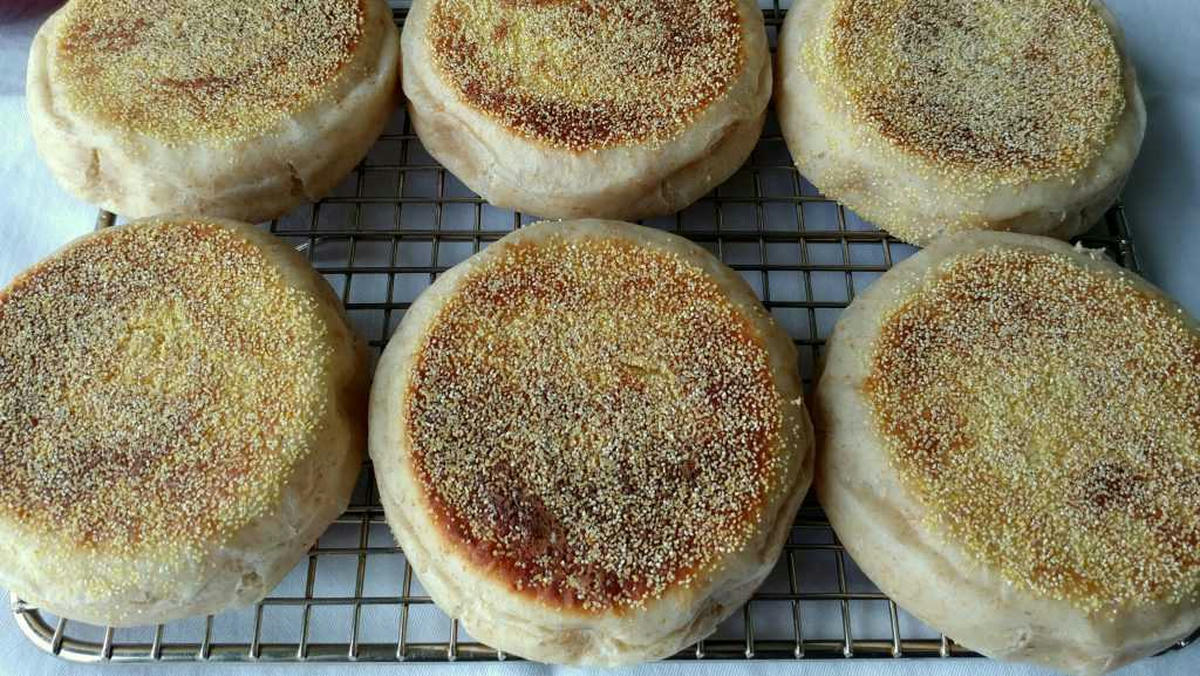 Homemade English Muffins